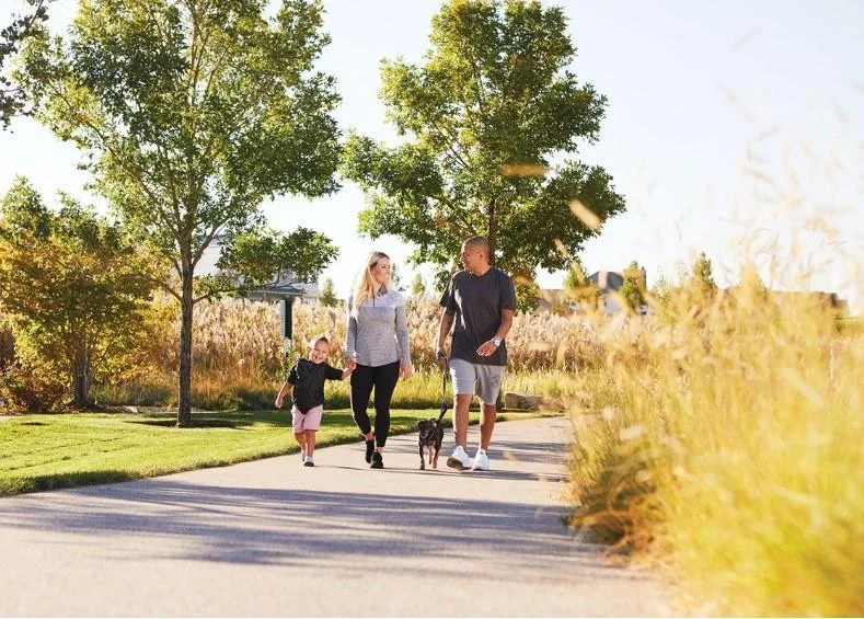 Four miles of paths