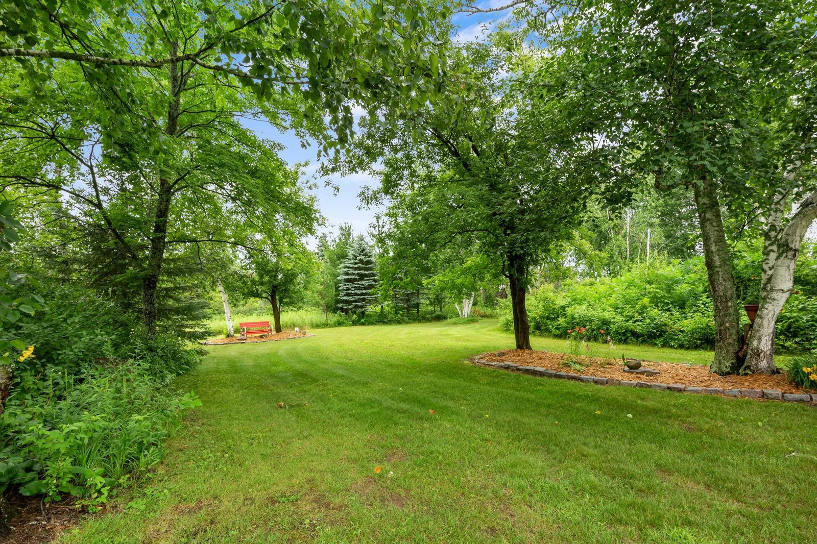 Dreamy backyard