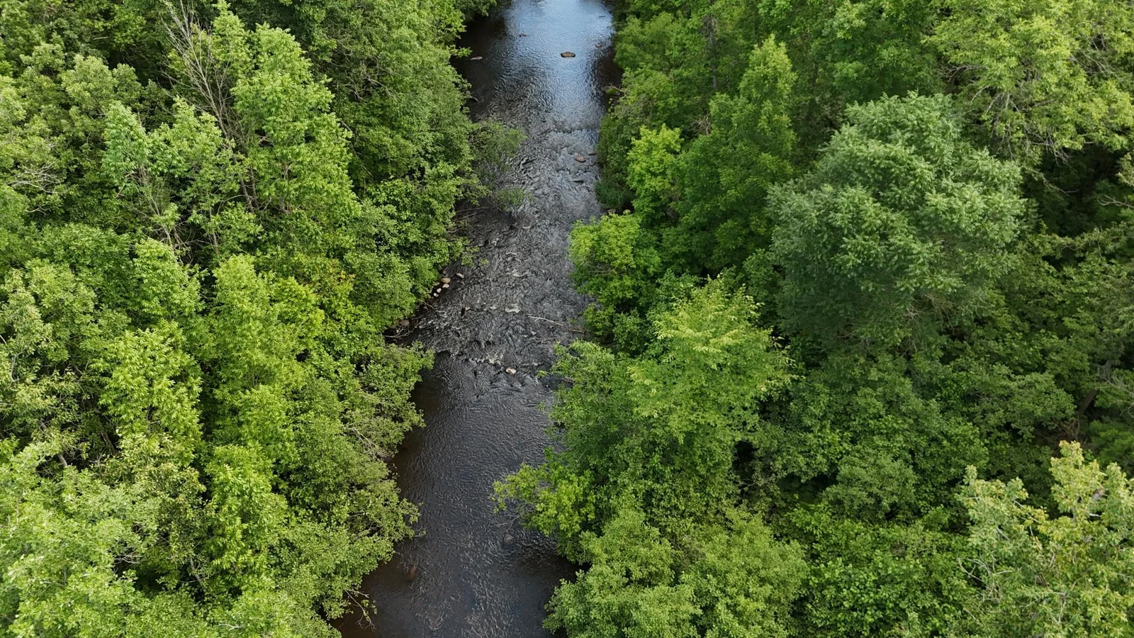 Grindstone River