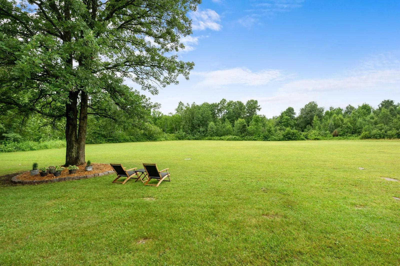 Your own meadow
