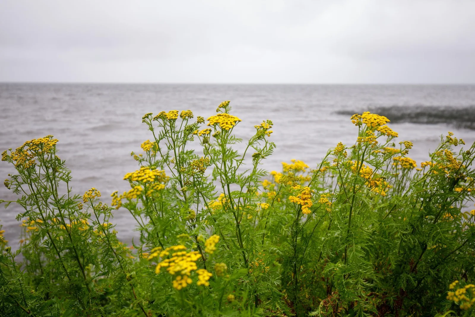 lightroom-17.jpg