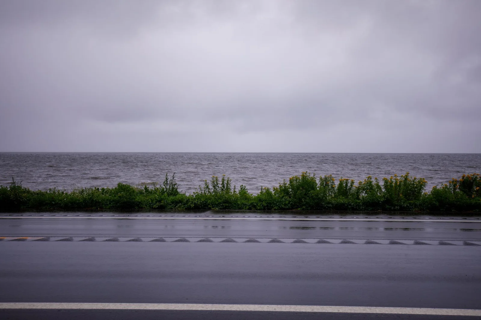 lightroom-19.jpg