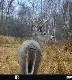 Thumbnail photo 25