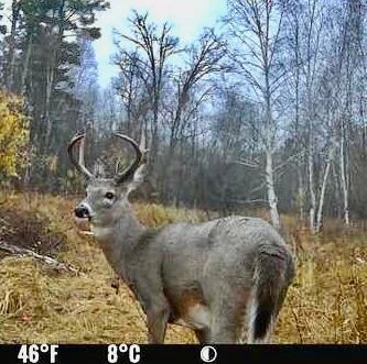 Thumbnail photo 24