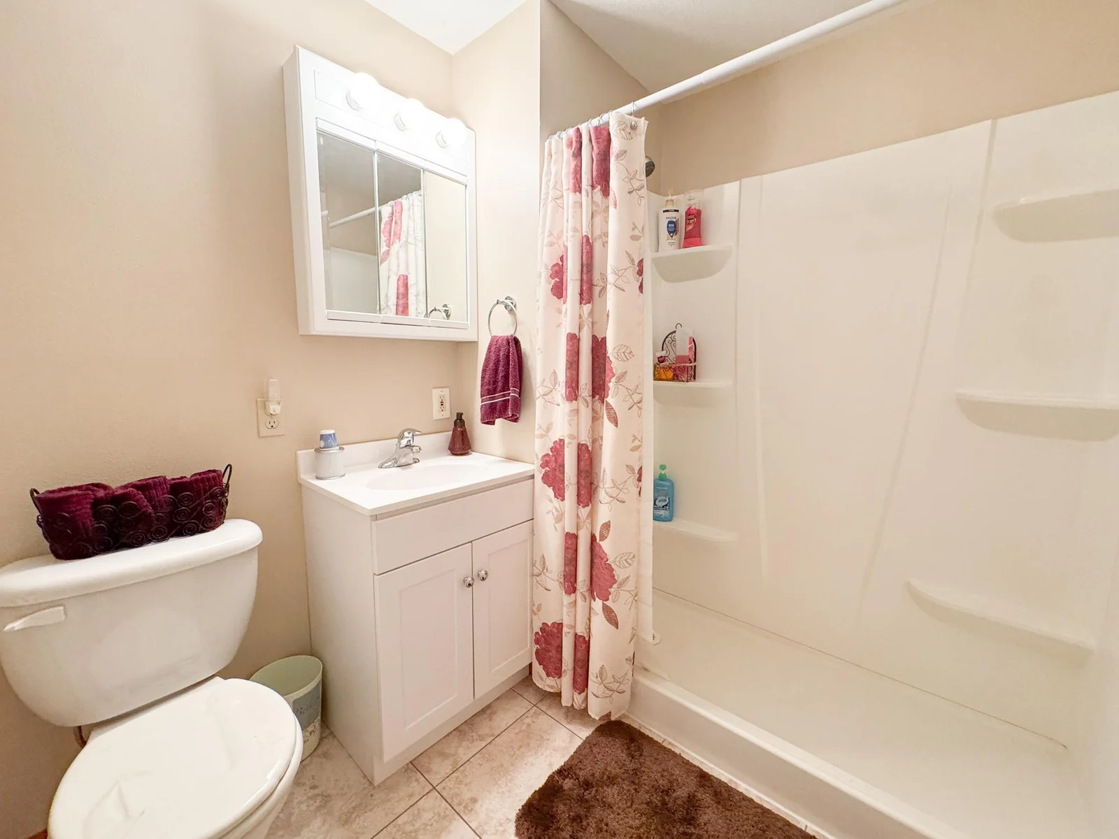 Lower Level Bathroom.jpg