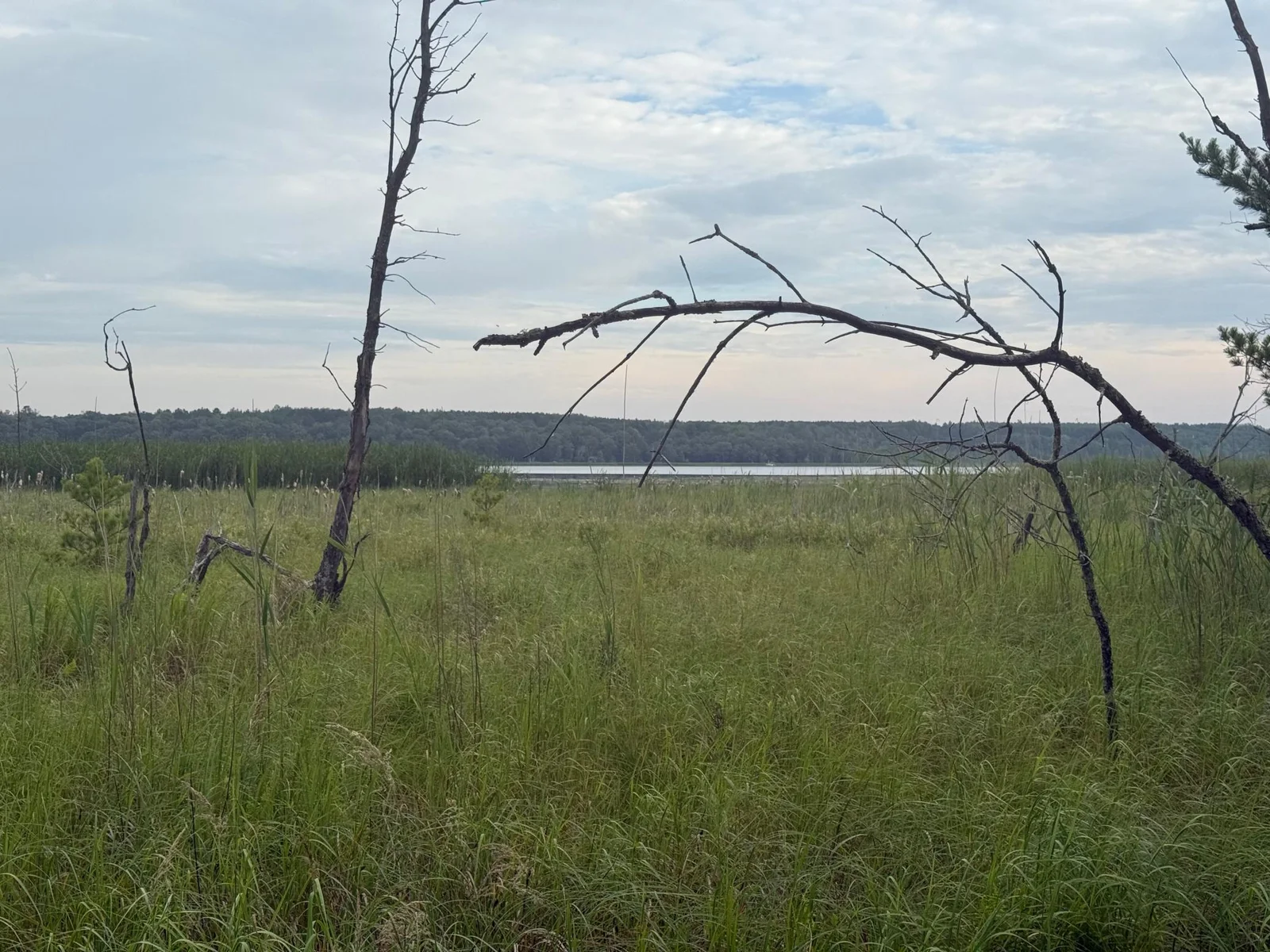 4th Crow Wing Lake