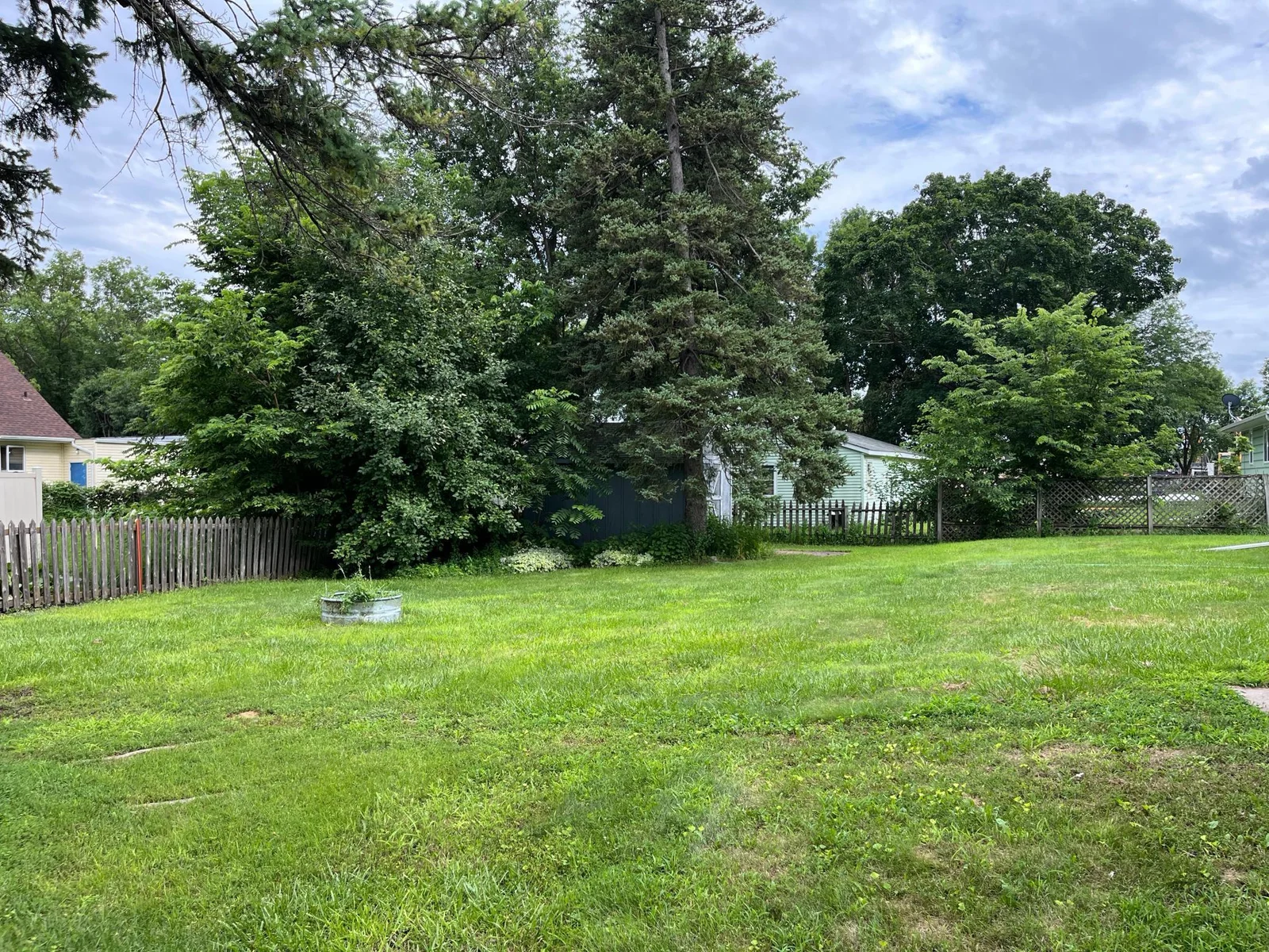 Back yard