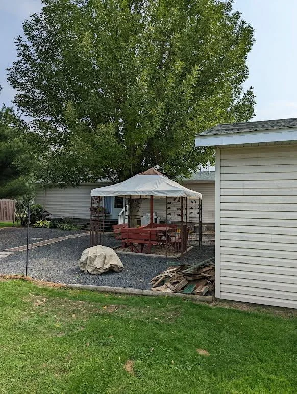 backyard photo