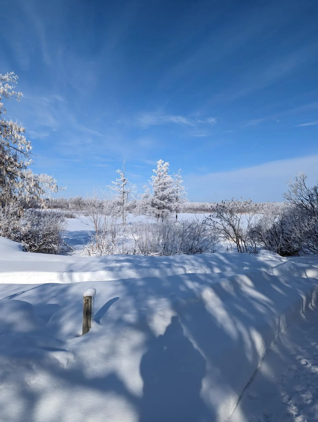 winter photo