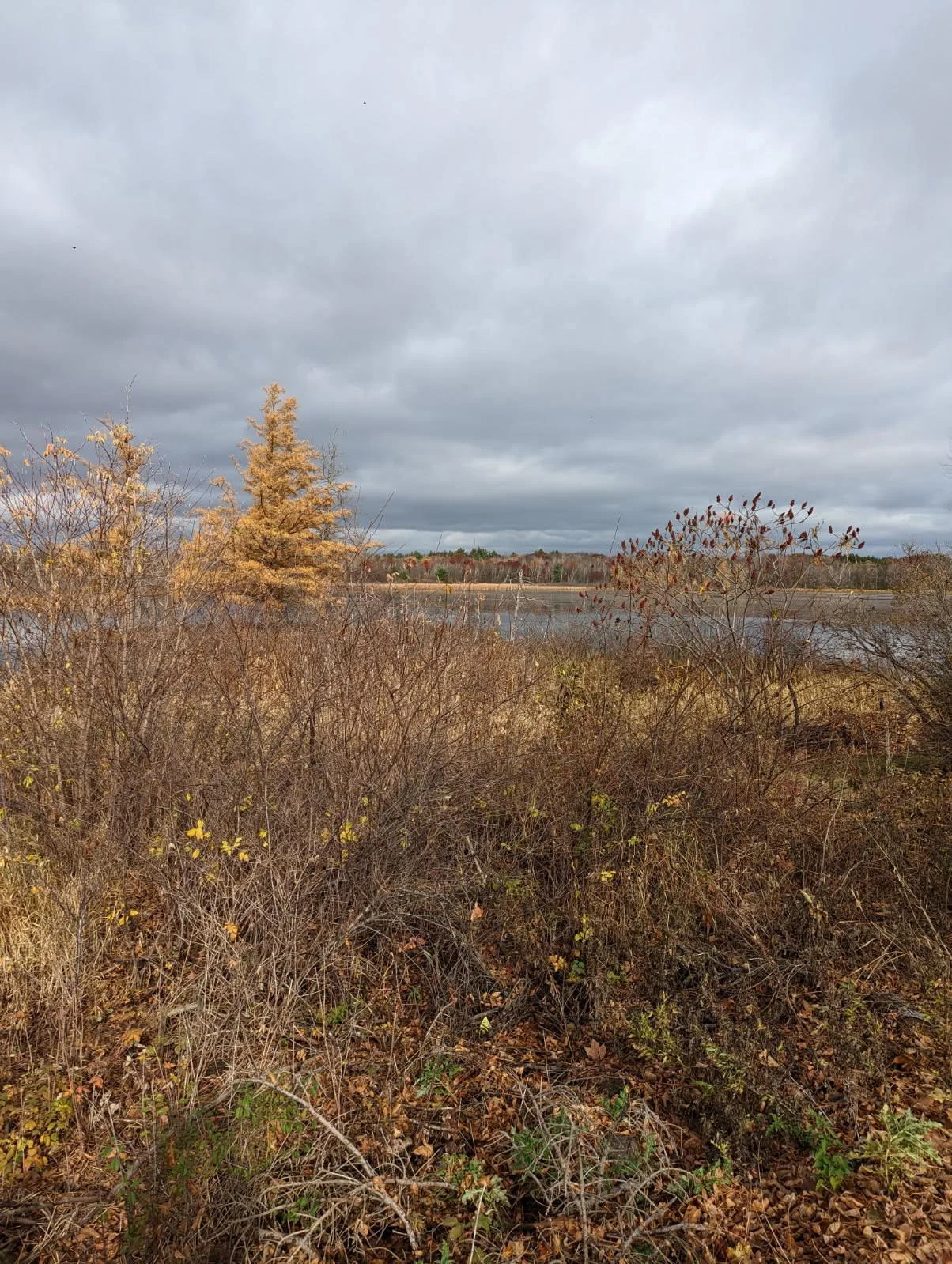 fall photo