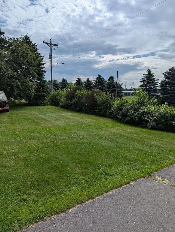 front yard landscaping