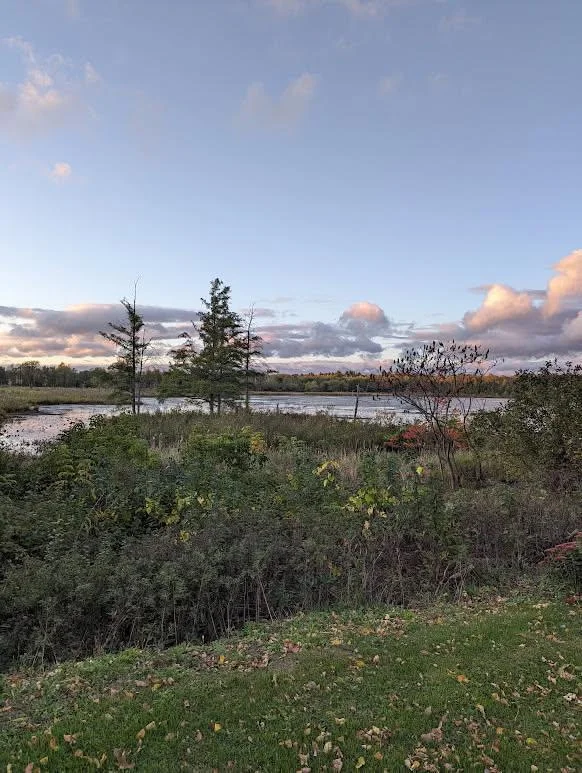 photo of the lake from backyard
