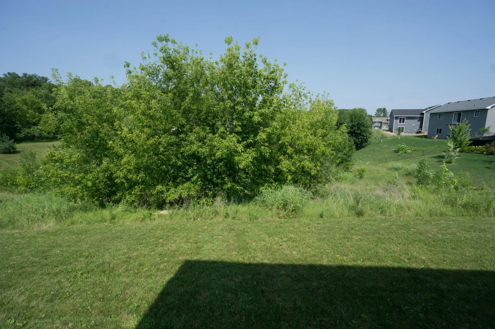 Open meadow behind home.