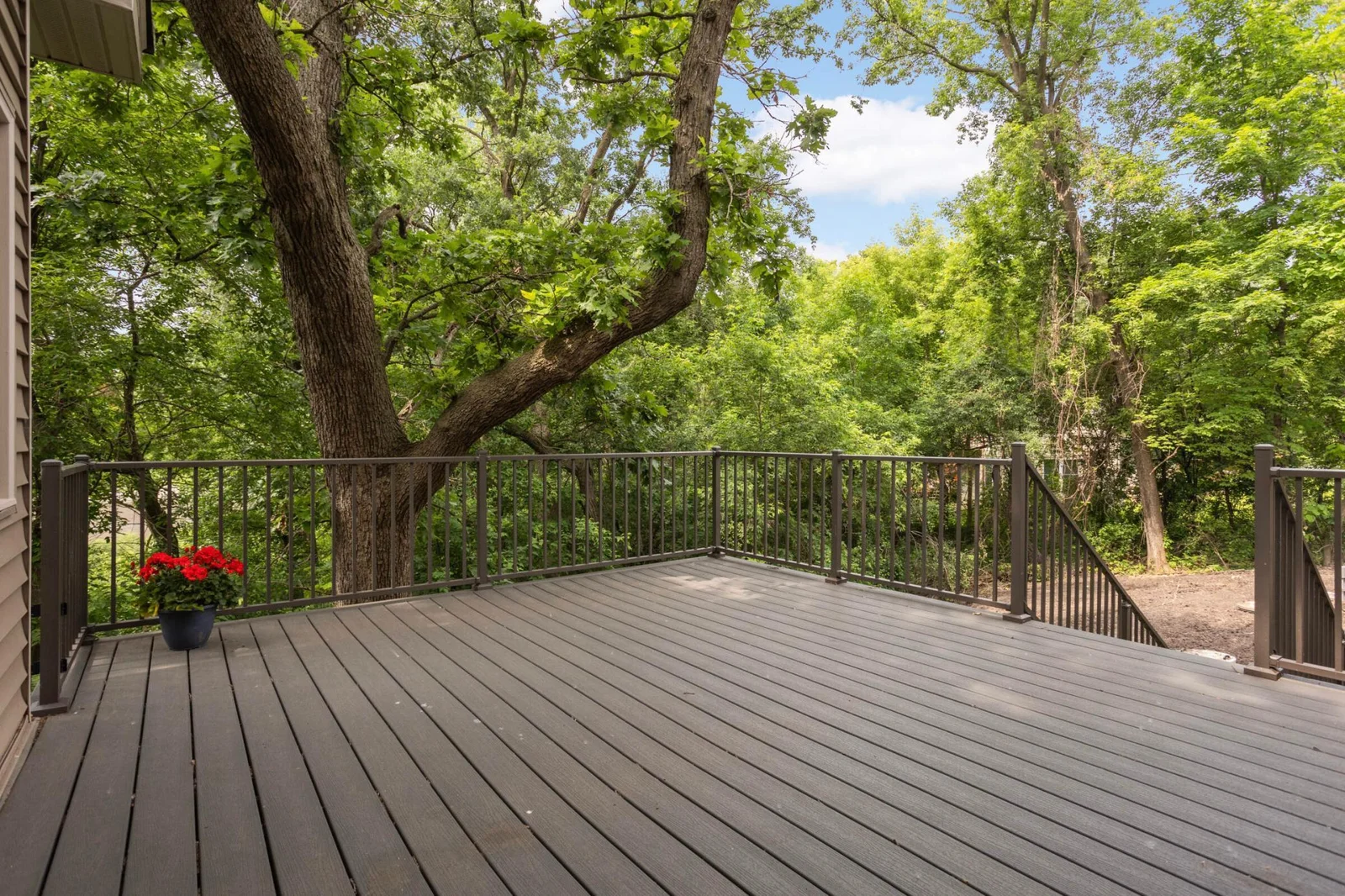 Back deck off kitchen with steps leading to side and backyards