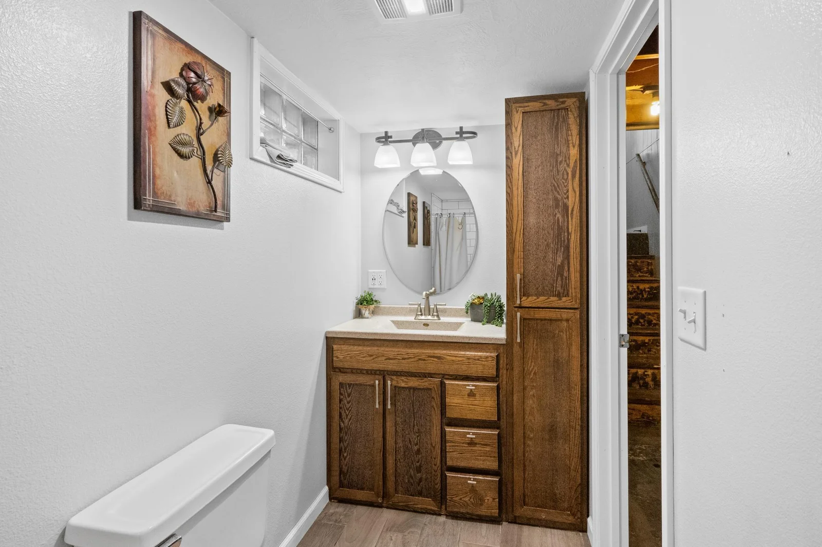 Lower Level Bathroom