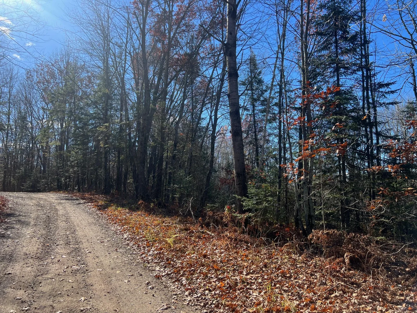 Road frontage along West Willy Road