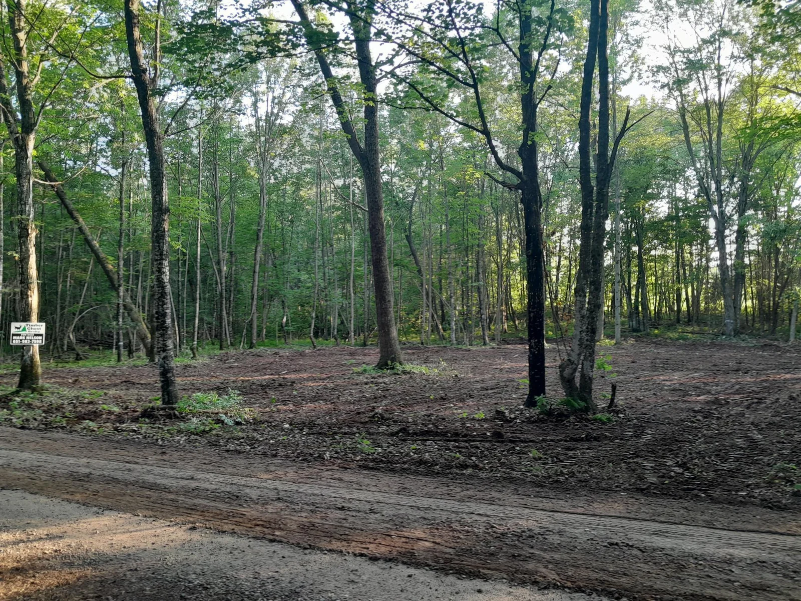 Clearing along the road
