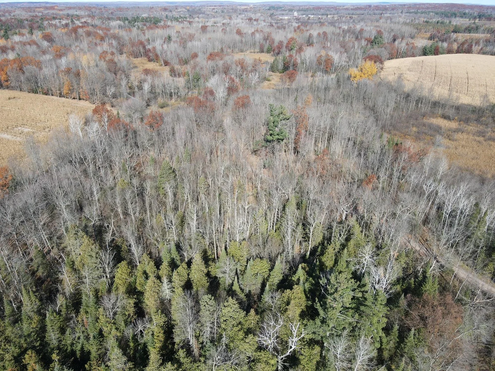 The north portion of the land is wooded