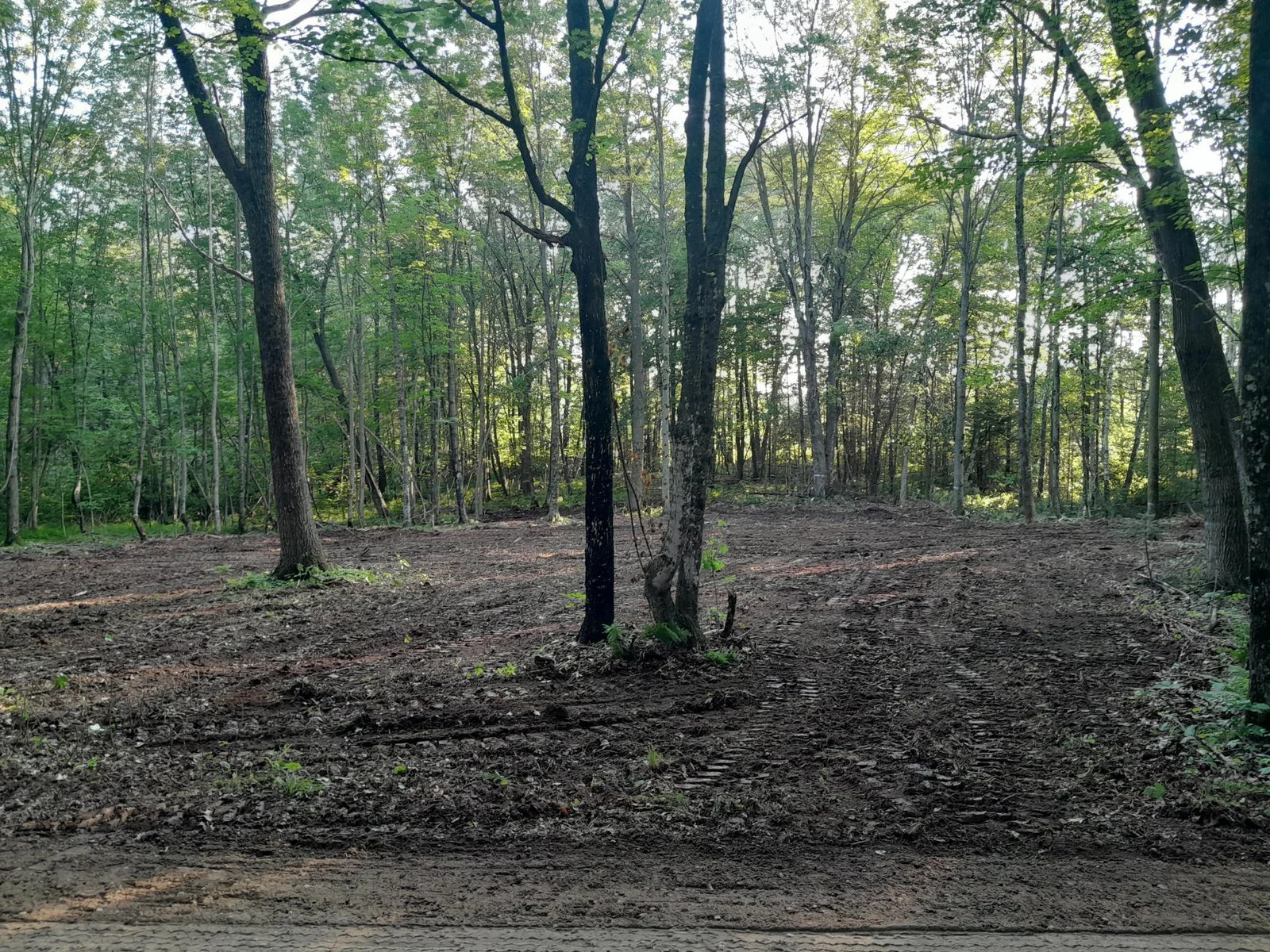 22 acres!