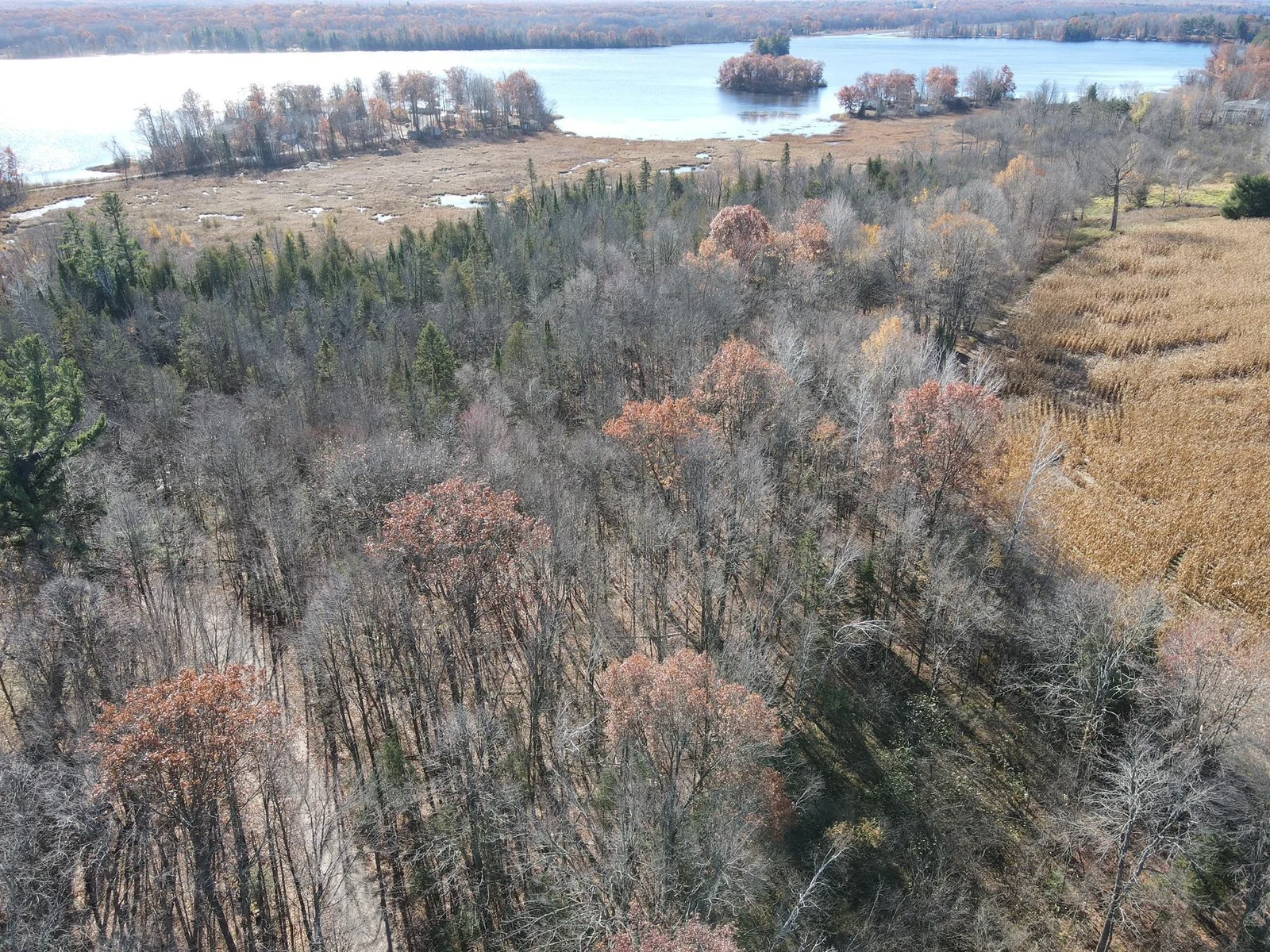 Lake views of Island Lake