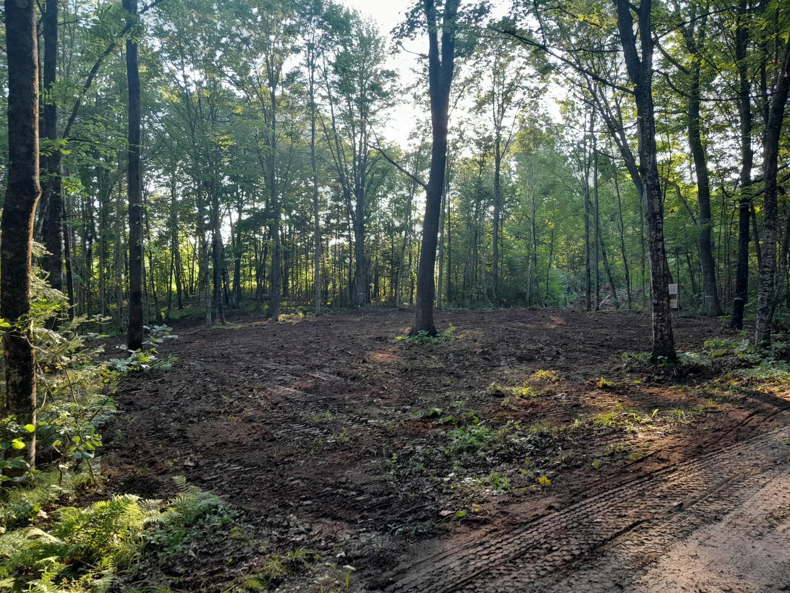 Nice spot for a build
