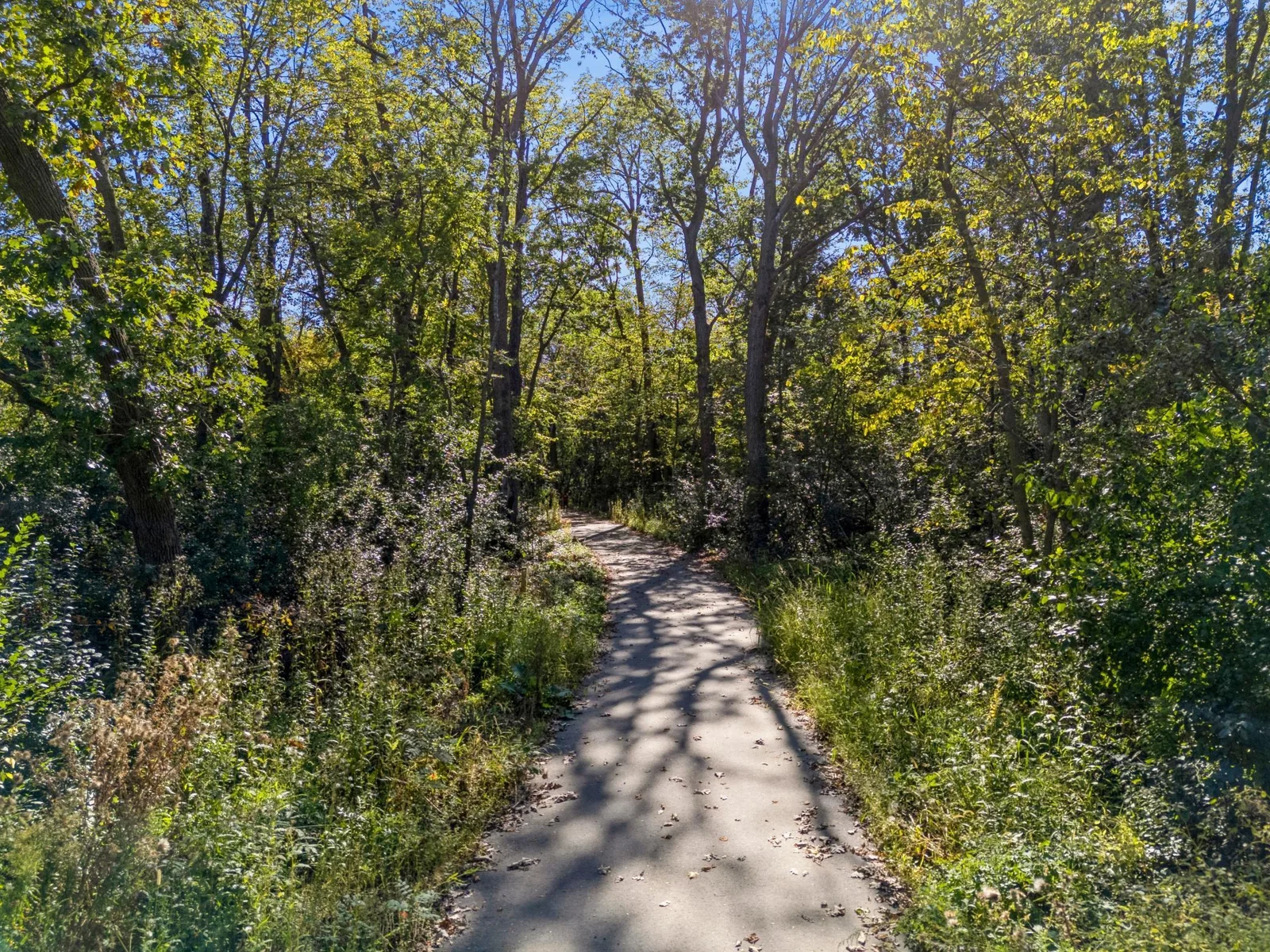 Enjoy plenty of walking trails in Tavera.