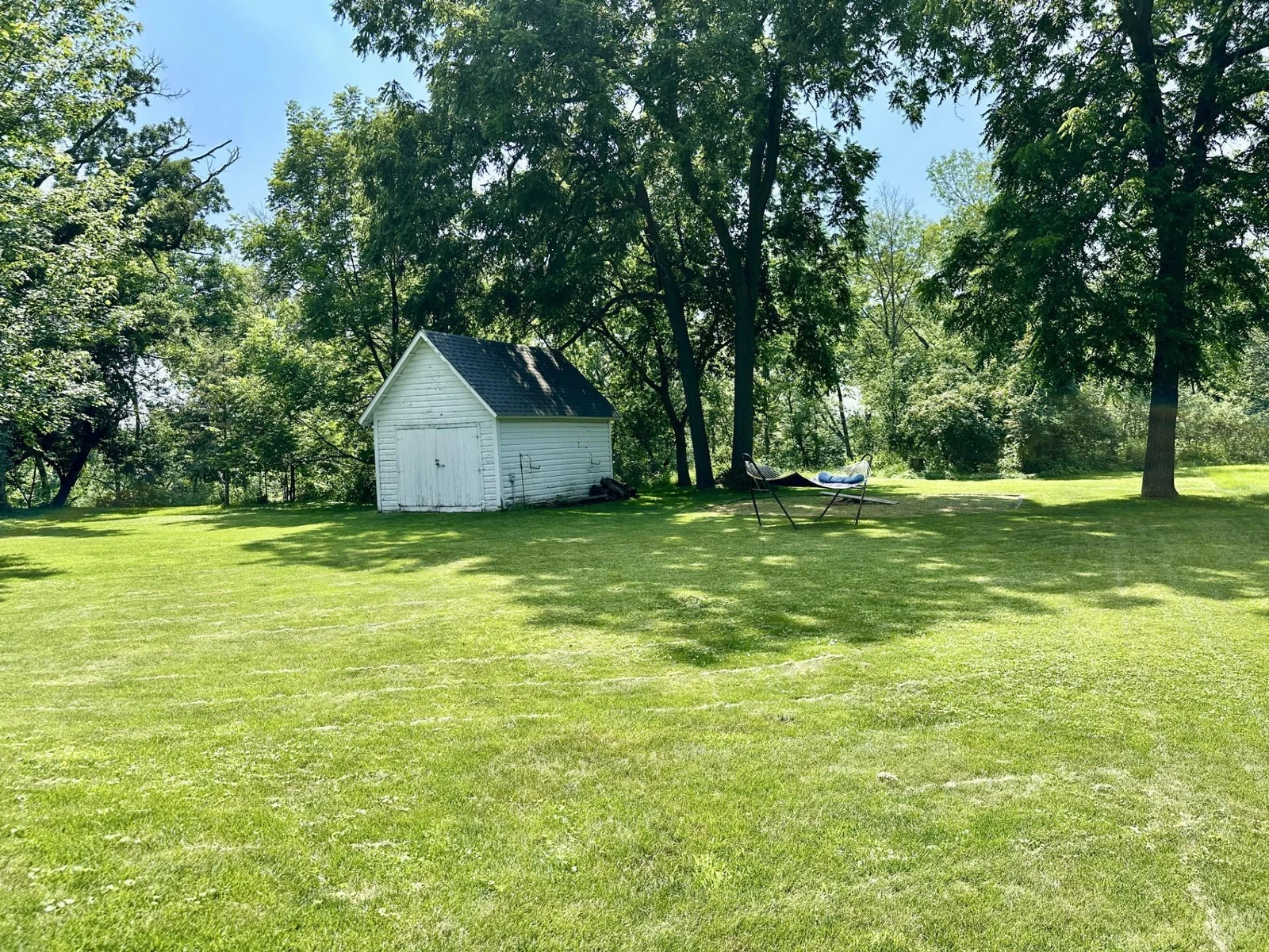 back yard.jpg