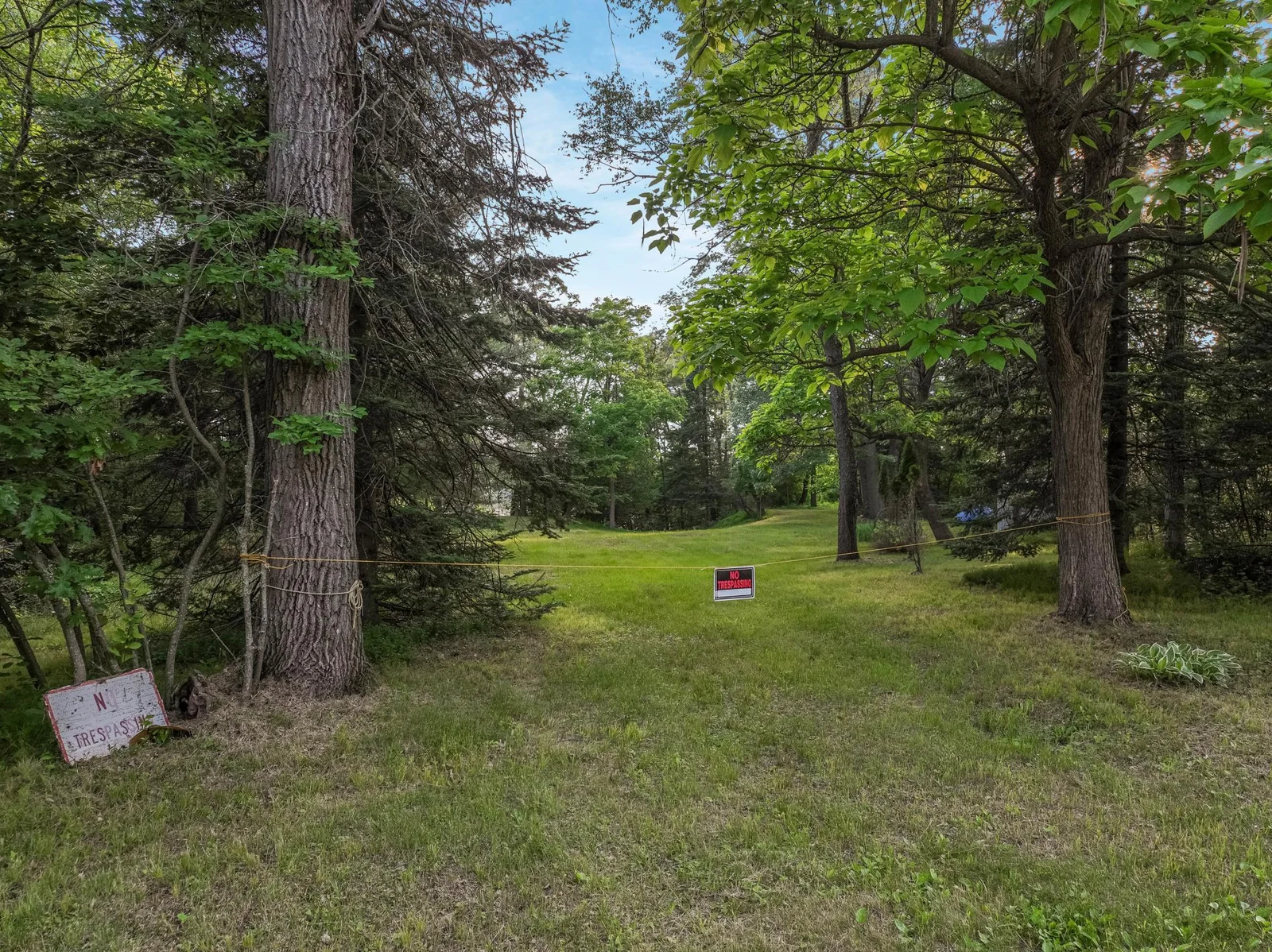 006_dji_0403_497.jpg