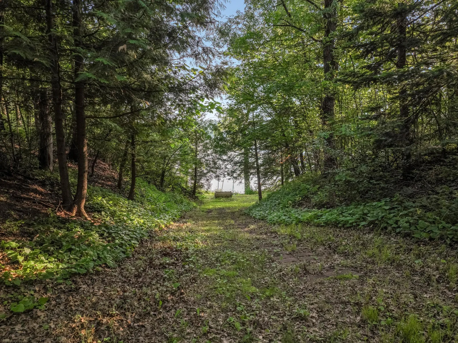 012_dji_0445_940.jpg