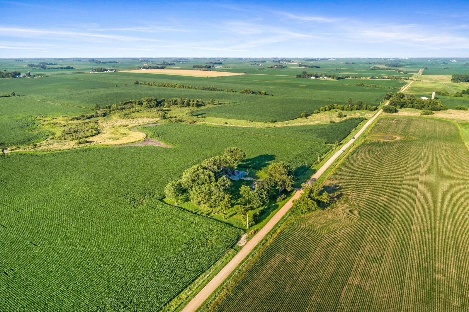 dji_0003.jpg
