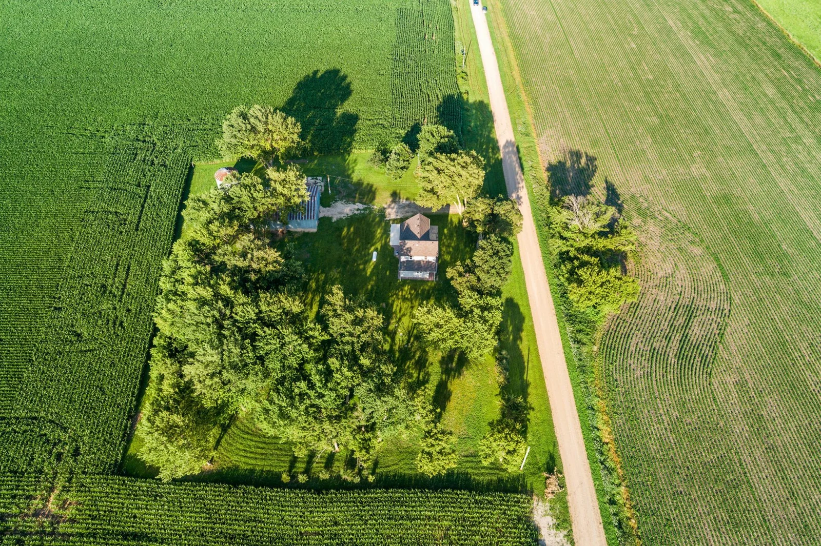 dji_0008.jpg