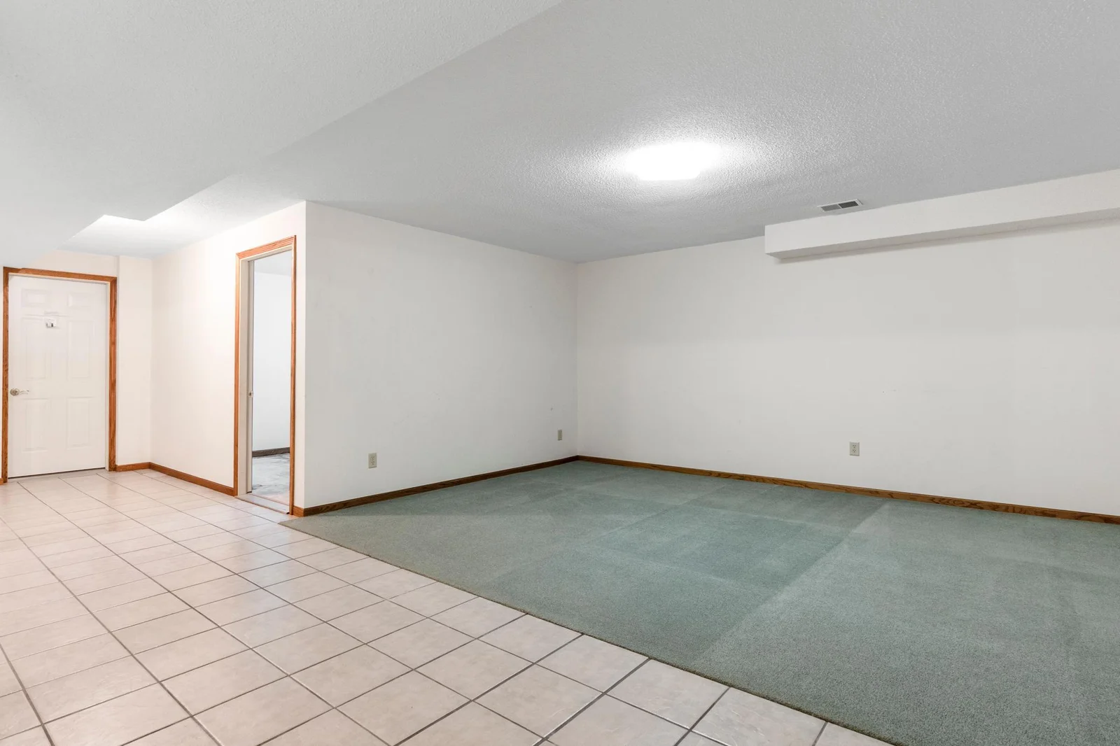 Bonus Space Downstairs.JPG