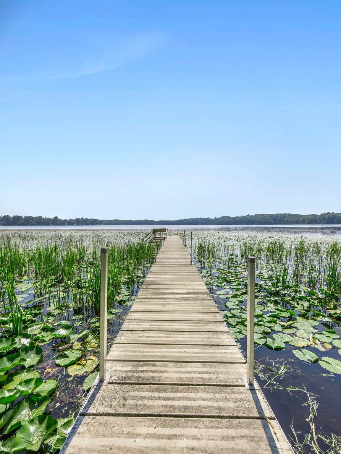 Dock