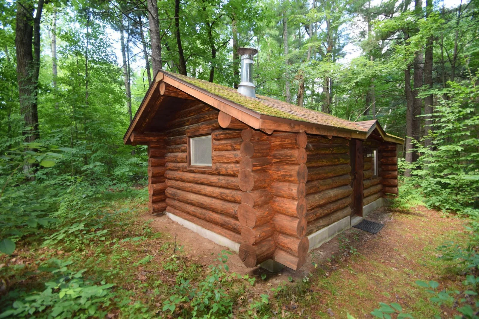 Custom built log sauna nestled in the woods