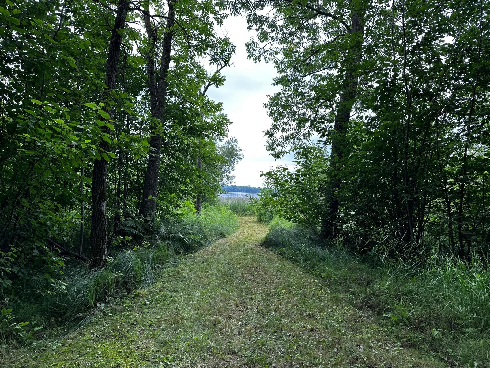 Path to Lake 3.jpg