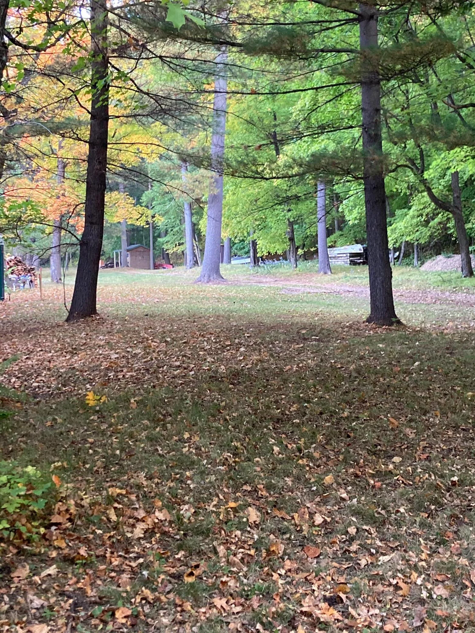 Lot view to North.jpg