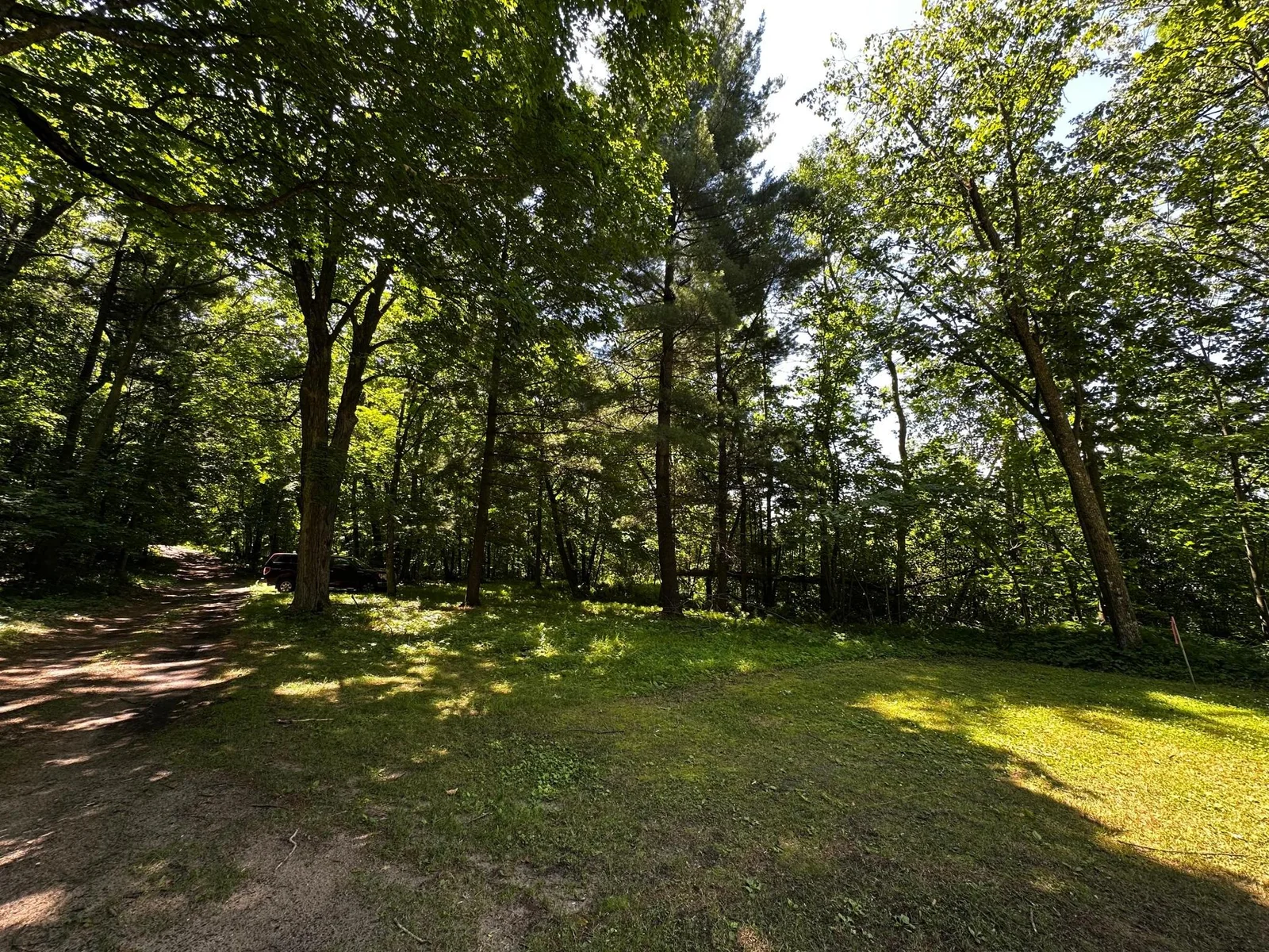Clearing / Parking Area.jpg