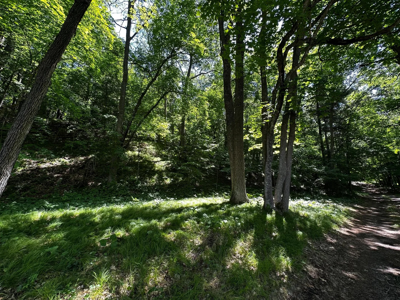 Hill away from Lake.jpg