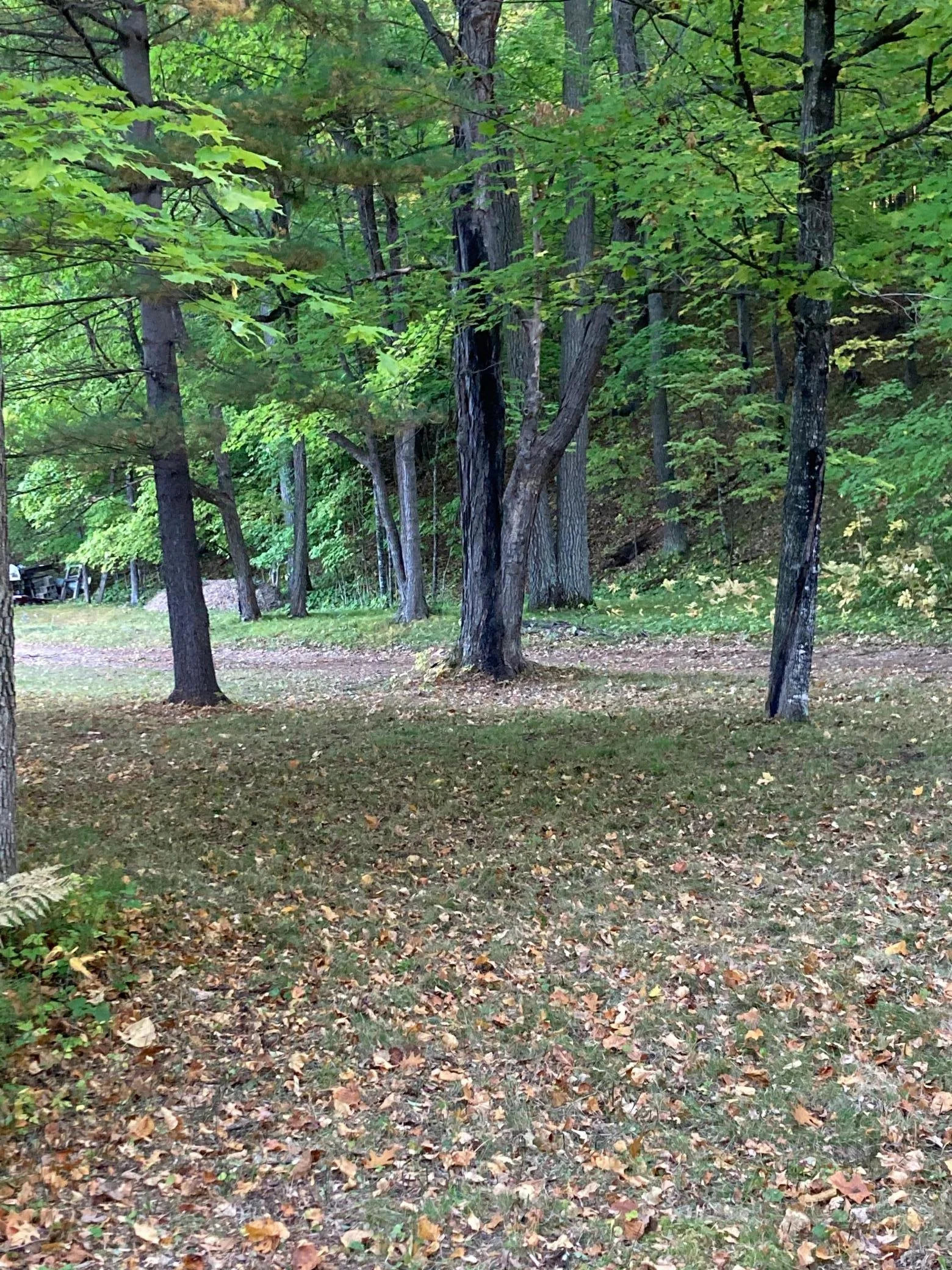 Fall view of lot.jpg