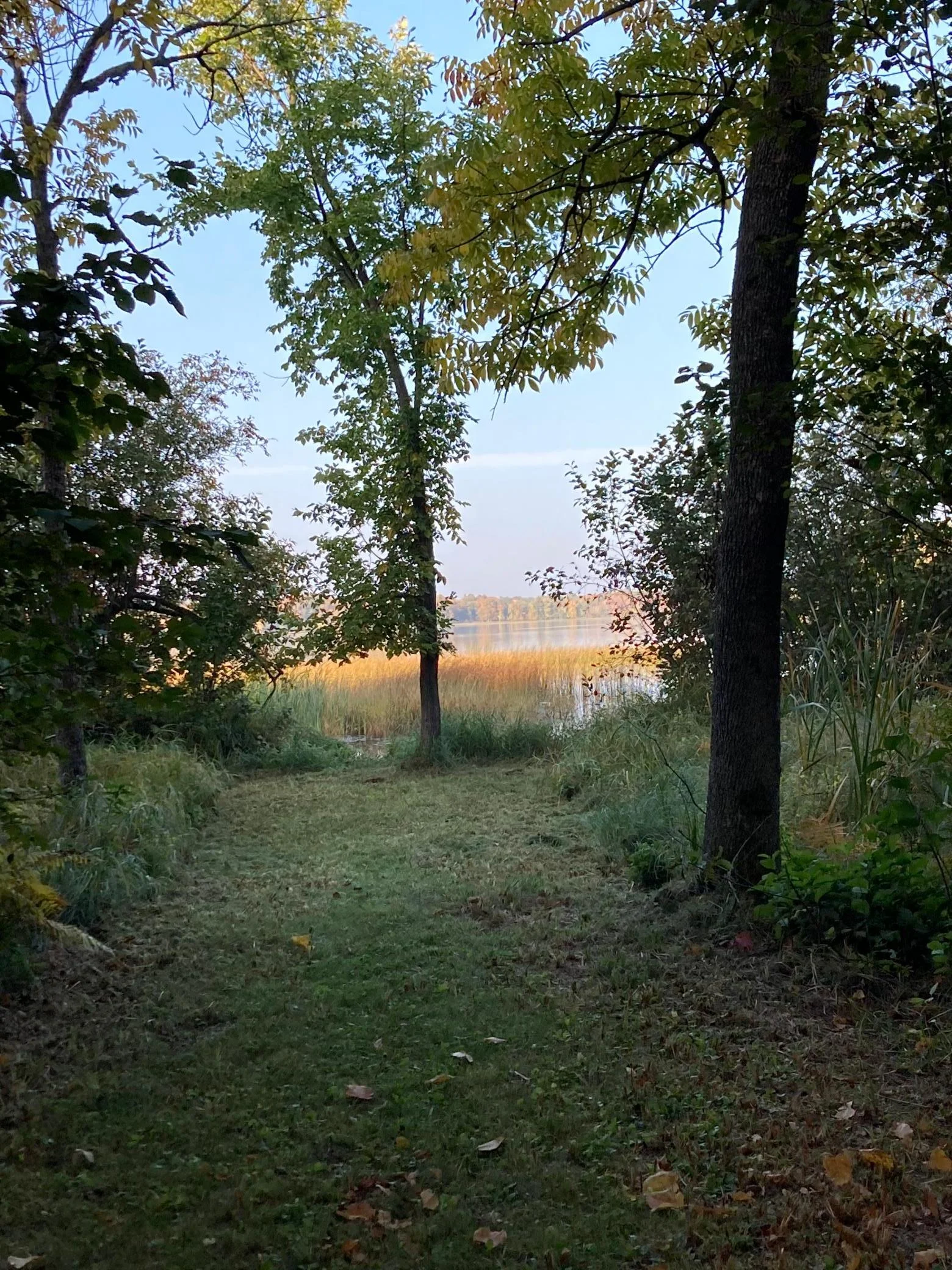 Lakeview.jpg