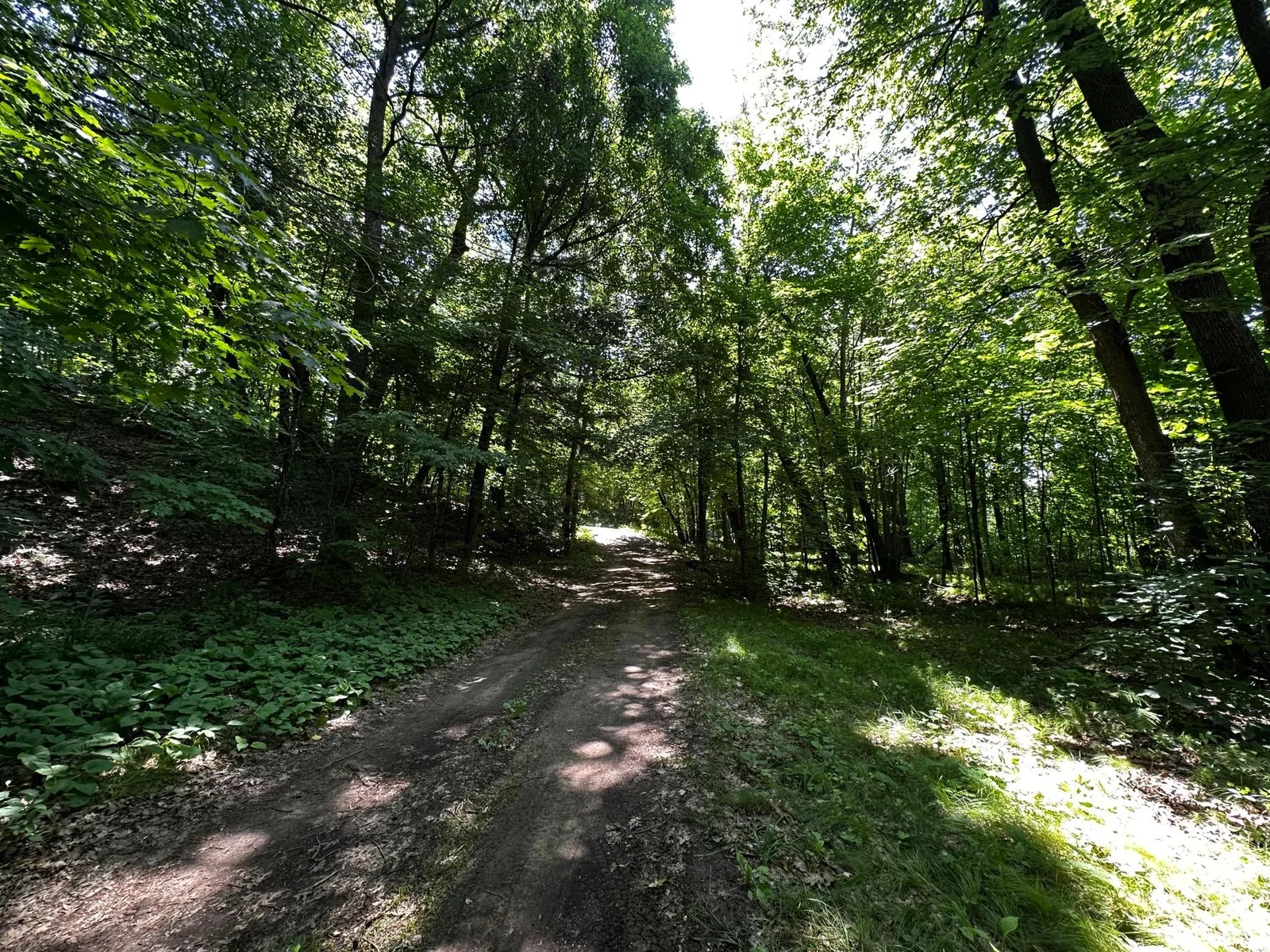 Easement Road Accessing Properties.jpg