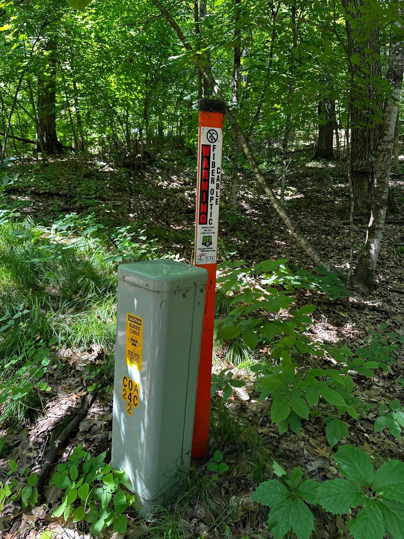 Fiber in area.jpg
