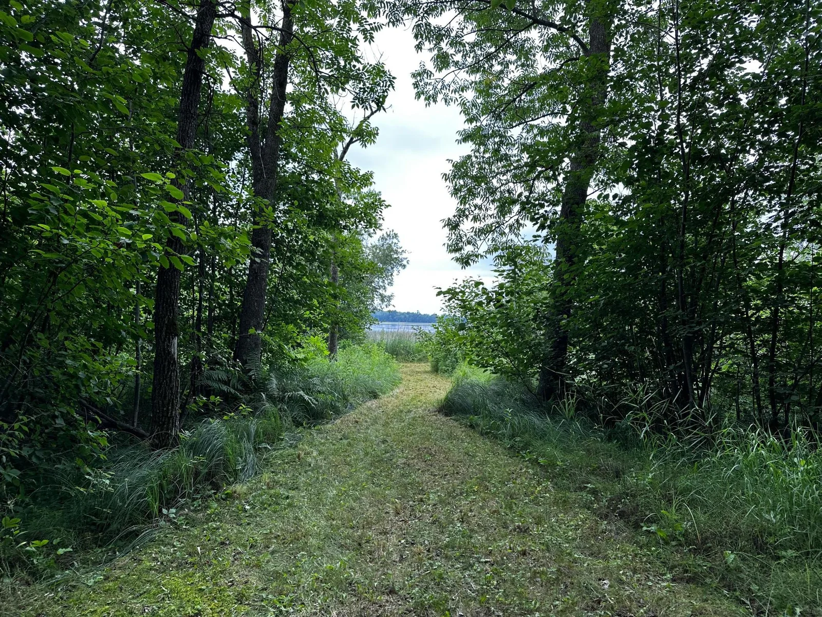 Path to Lake 3.jpg