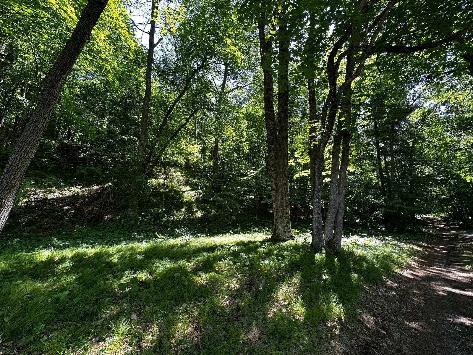 Hill away from Lake.jpg