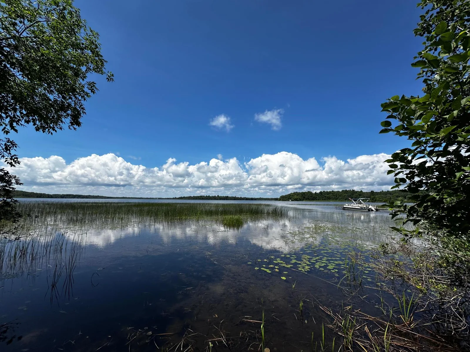 Photo 1 of Nokay Lake Lane