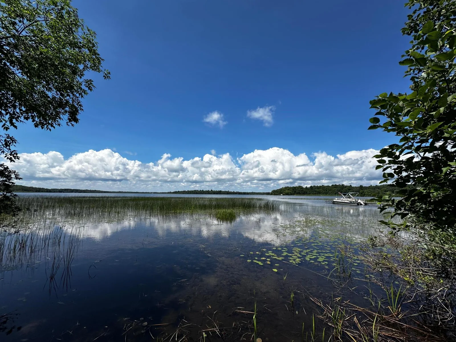 Nokay Lake View.jpg