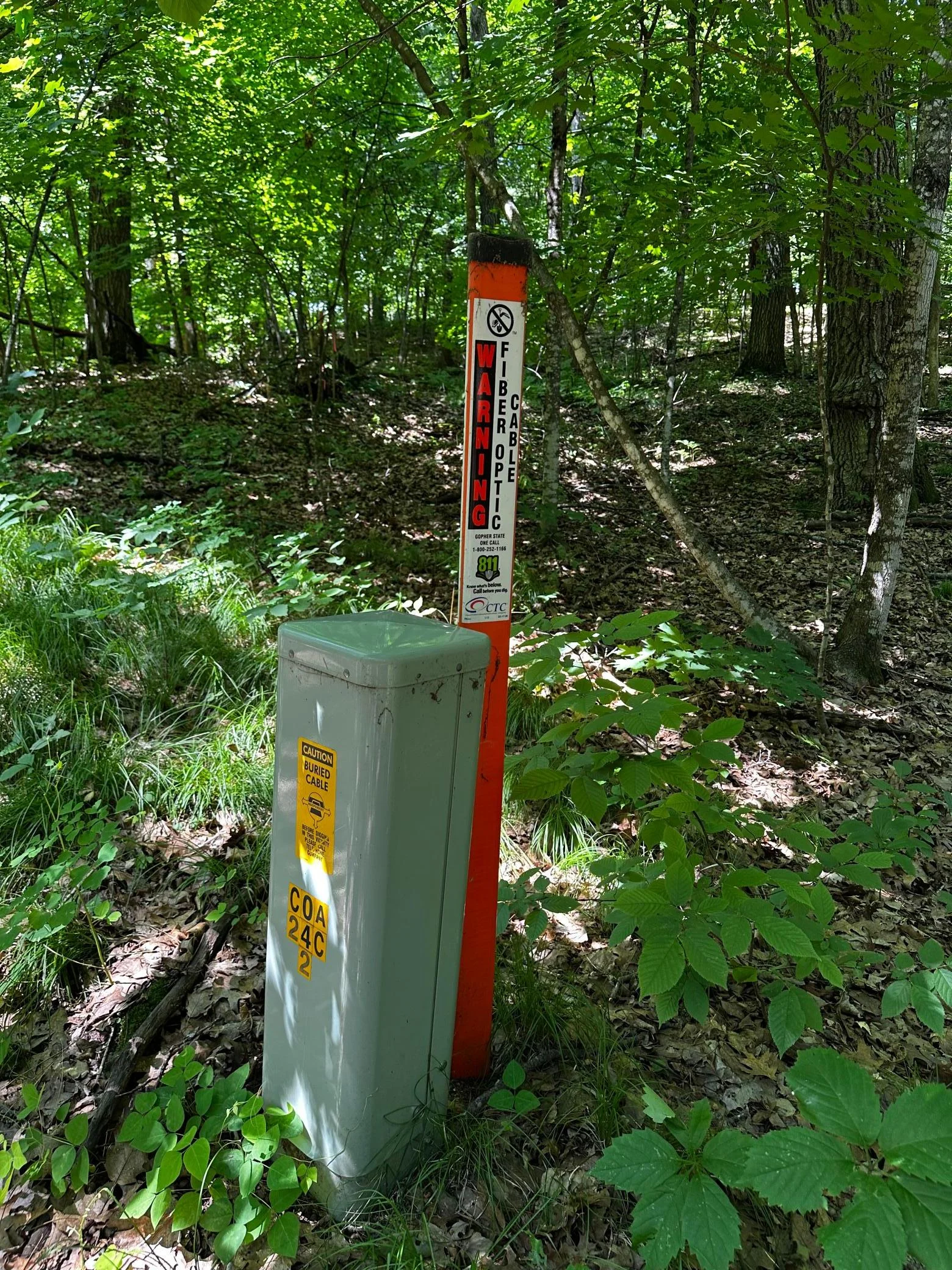 Fiber in area.jpg