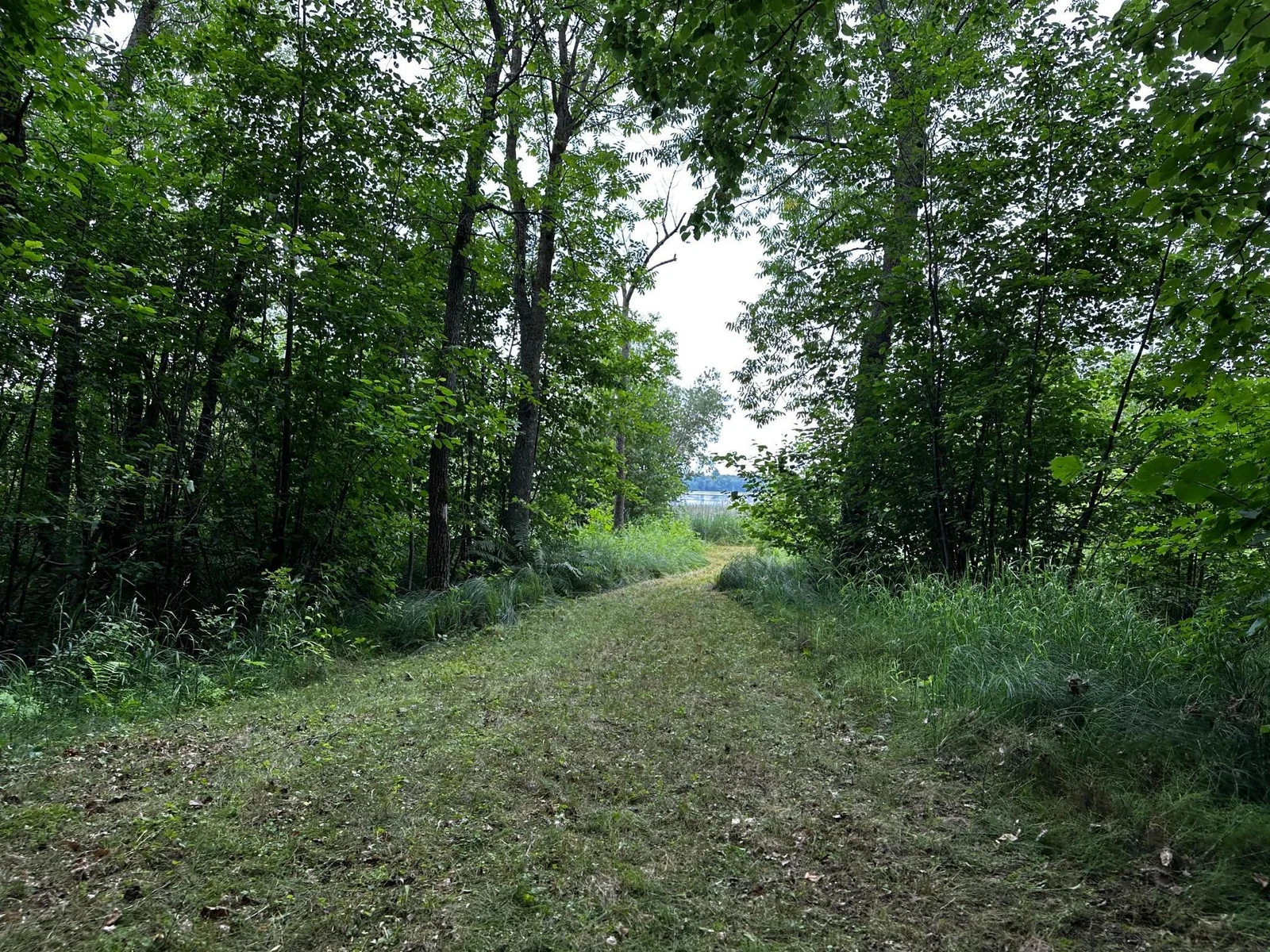 Path to Lake 2.jpg