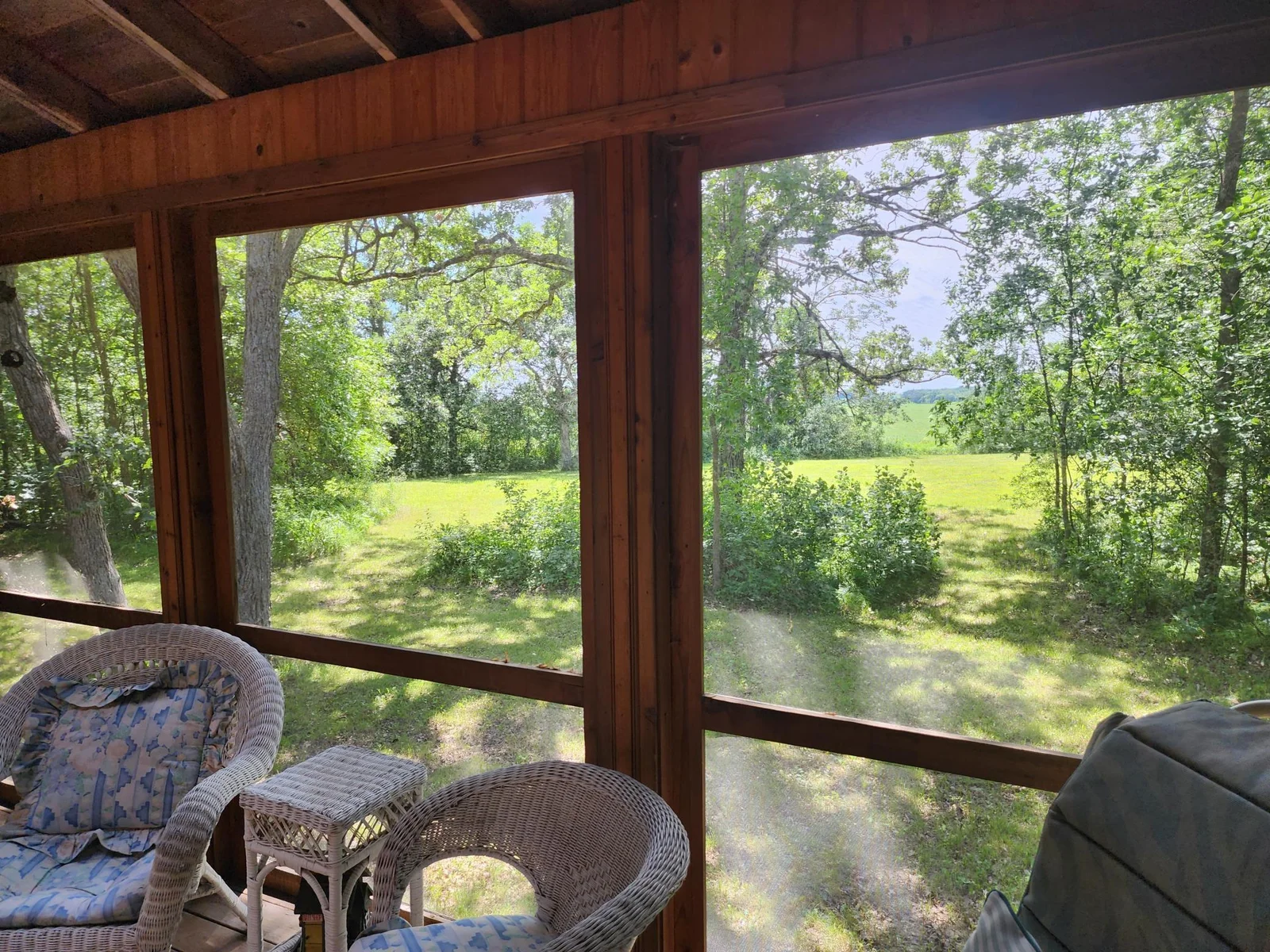 View from the porch.jpg