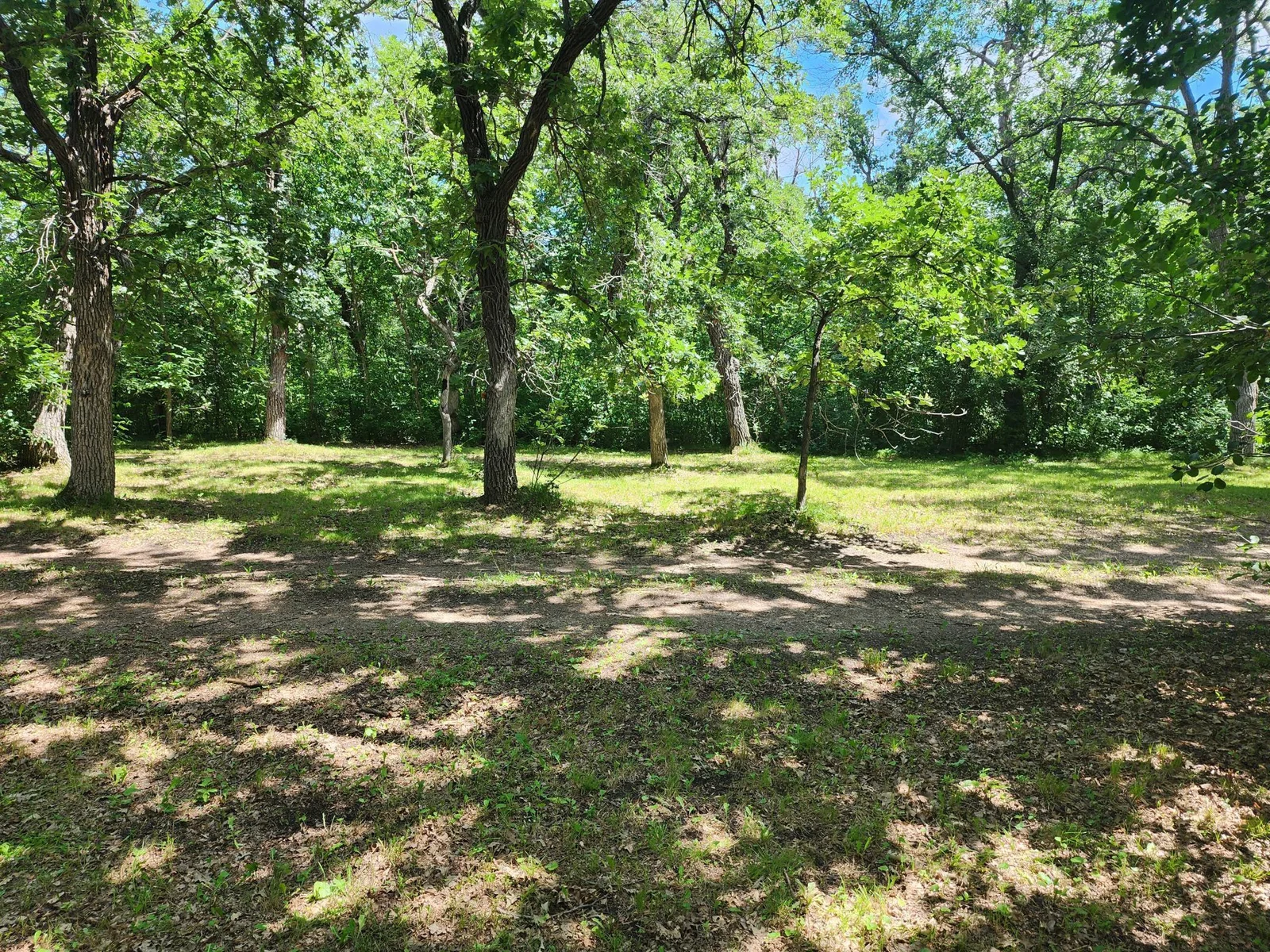 yard.jpg